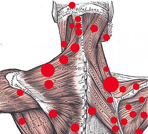 Success Story: Dr. Boatman