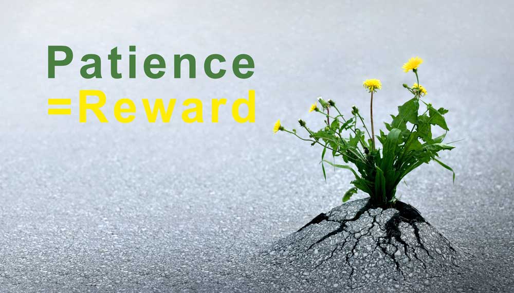 patience equals reward